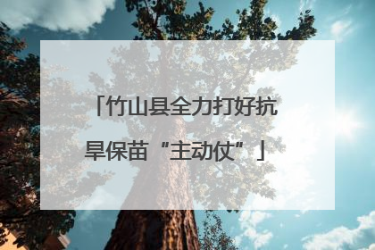 竹山县全力打好抗旱保苗“主动仗”