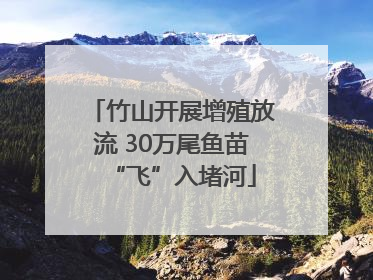 竹山开展增殖放流 30万尾鱼苗“飞”入堵河