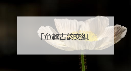 童趣古韵交织 阳光幼儿园亲子游园会庆双节