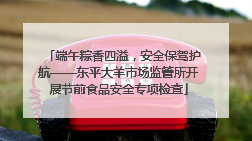 端午粽香四溢，安全保驾护航——东平大羊市场监管所开展节前食品安全专项检查