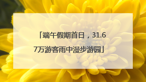 端午假期首日，31.67万游客雨中漫步游园