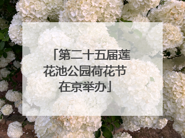 第二十五届莲花池公园荷花节在京举办
