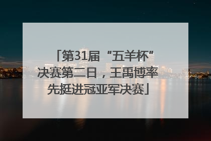 第31届“五羊杯”决赛第二日，王禹博率先挺进冠亚军决赛