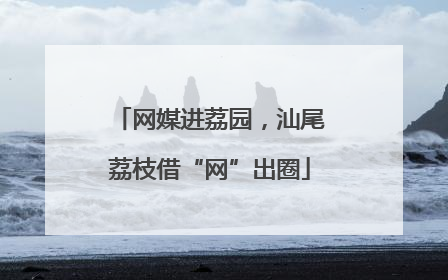 网媒进荔园，汕尾荔枝借“网”出圈