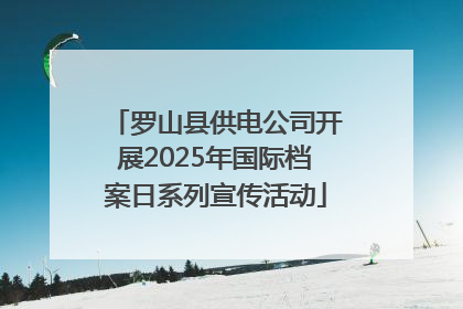 罗山县供电公司开展2025年国际档案日系列宣传活动