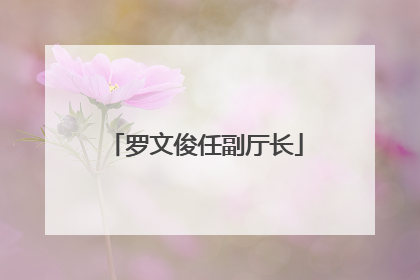 罗文俊任副厅长