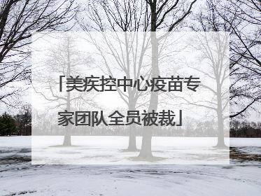 美疾控中心疫苗专家团队全员被裁