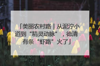 美丽农村路｜从泥泞小道到“精灵动脉”，德清有条“虾路”火了