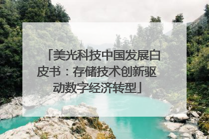 美光科技中国发展白皮书：存储技术创新驱动数字经济转型