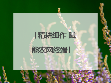 精耕细作 赋能农网终端