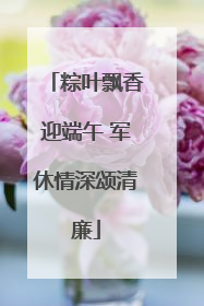 粽叶飘香迎端午 军休情深颂清廉