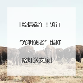 粽情端午！镇江“光明使者”维修路灯送安康
