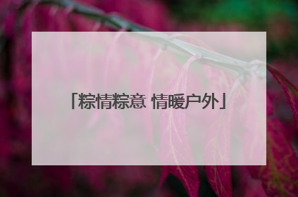粽情粽意 情暖户外
