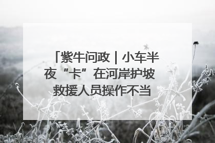 紫牛问政｜小车半夜“卡”在河岸护坡 救援人员操作不当致小车翻下河，然后直接走人了