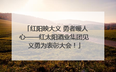 红阳映大义 勇者暖人心——红太阳酒业集团见义勇为表彰大会！
