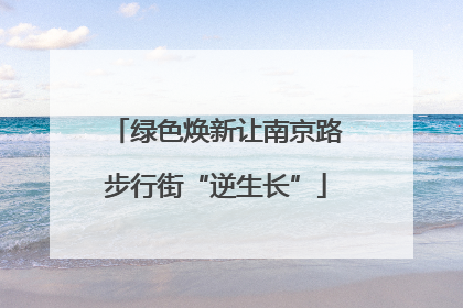 绿色焕新让南京路步行街“逆生长”