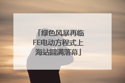 绿色风暴再临 FE电动方程式上海站圆满落幕