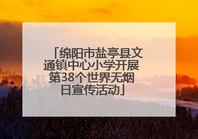 绵阳市盐亭县文通镇中心小学开展第38个世界无烟日宣传活动
