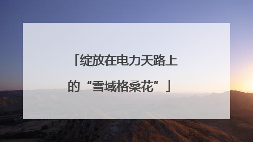 绽放在电力天路上的“雪域格桑花”