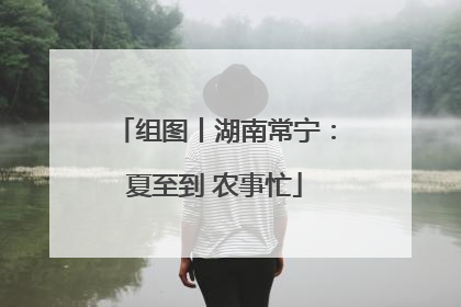 组图丨湖南常宁：夏至到 农事忙