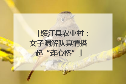 绥江县农业村：女子调解队真情搭起“连心桥”