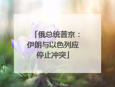 俄总统普京：伊朗与以色列应停止冲突