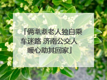 俩耄耋老人独自乘车迷路 济南公交人暖心助其回家