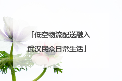低空物流配送融入武汉民众日常生活
