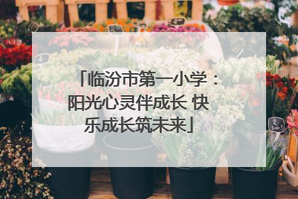 临汾市第一小学：阳光心灵伴成长 快乐成长筑未来
