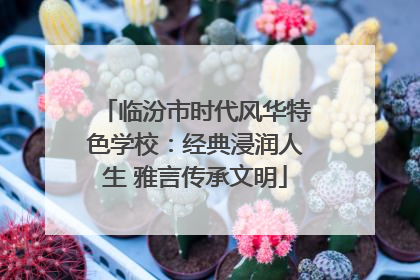 临汾市时代风华特色学校：经典浸润人生 雅言传承文明