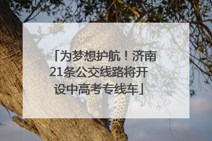 为梦想护航！济南21条公交线路将开设中高考专线车