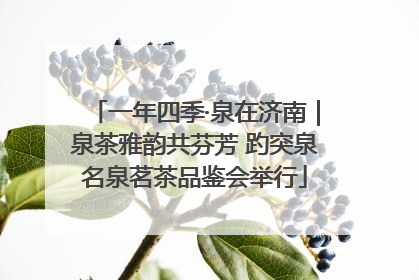 一年四季·泉在济南｜泉茶雅韵共芬芳 趵突泉名泉茗茶品鉴会举行