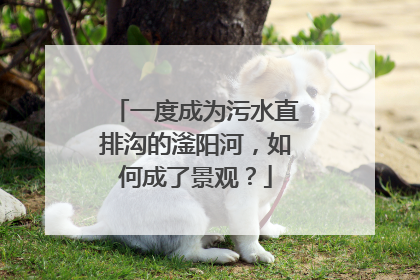 一度成为污水直排沟的滏阳河，如何成了景观？