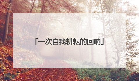 一次自我耕耘的回响