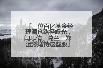 三位百亿基金经理调仓路径曝光，闫思倩、葛兰、郑澄然增持这些股