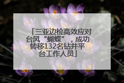 三亚边检高效应对台风“蝴蝶”，成功转移132名钻井平台工作人员