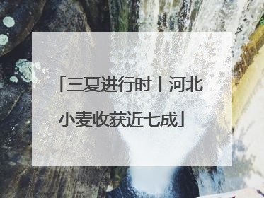 三夏进行时丨河北小麦收获近七成