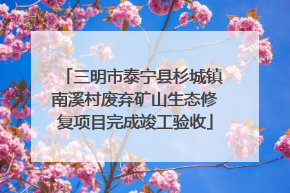 三明市泰宁县杉城镇南溪村废弃矿山生态修复项目完成竣工验收
