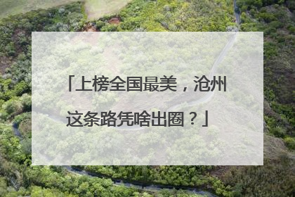 上榜全国最美，沧州这条路凭啥出圈？