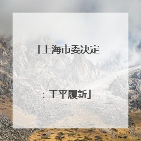 上海市委决定：王平履新