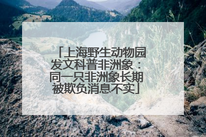 上海野生动物园发文科普非洲象：同一只非洲象长期被欺负消息不实