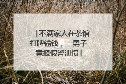 不满家人在茶馆打牌输钱，一男子竟报假警泄愤