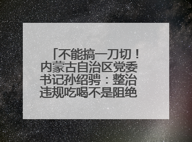 不能搞一刀切！内蒙古自治区党委书记孙绍骋：整治违规吃喝不是阻绝正常人际交往、黯淡人间烟火