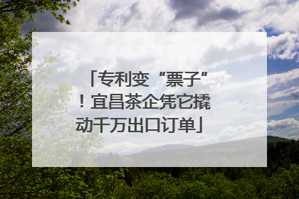 专利变“票子”！宜昌茶企凭它撬动千万出口订单