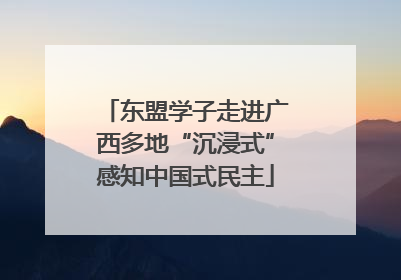 东盟学子走进广西多地“沉浸式”感知中国式民主