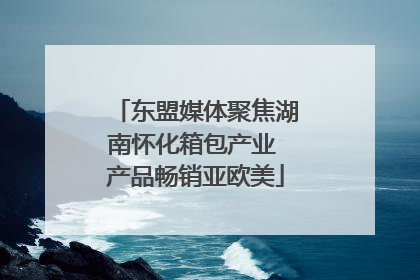 东盟媒体聚焦湖南怀化箱包产业 产品畅销亚欧美