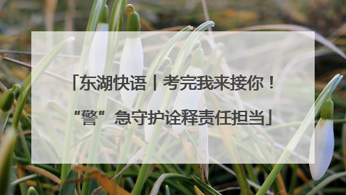 东湖快语丨考完我来接你！“警”急守护诠释责任担当