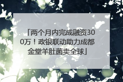 两个月内完成融资300万！政银联动助力成都金堂羊肚菌卖全球