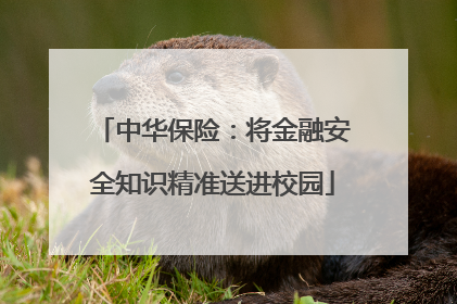 中华保险：将金融安全知识精准送进校园