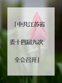 中共江苏省委十四届九次全会召开